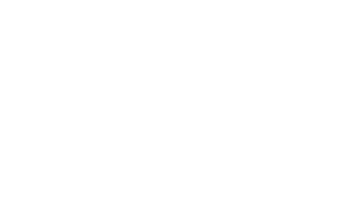 Dexterous Designs Logo White