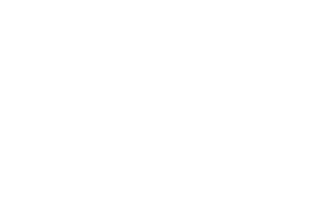 Viridor Logo White