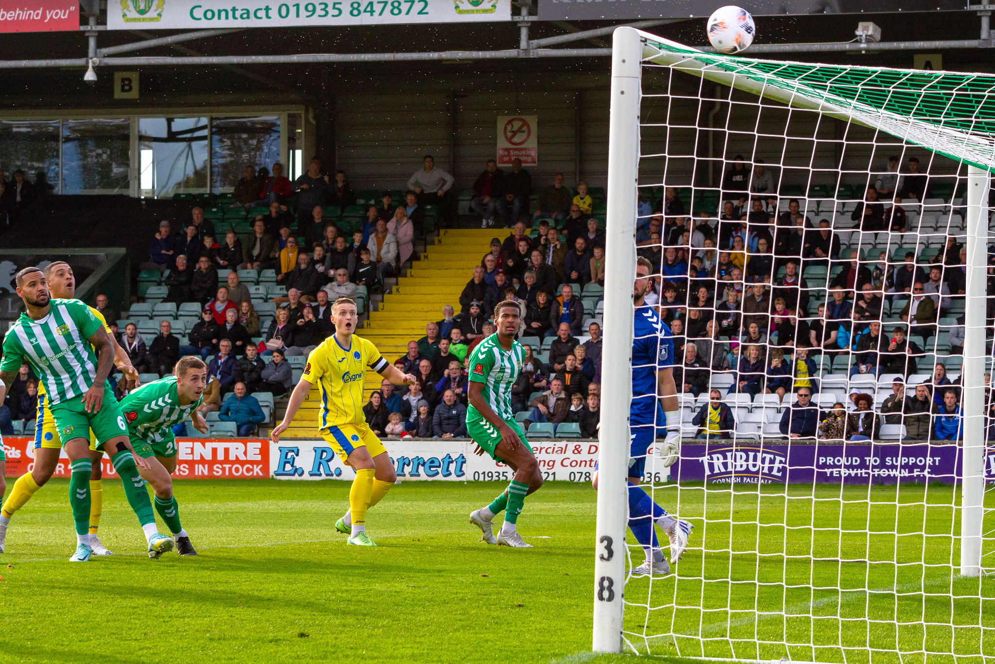 York City vs Yeovil Town: National League Preview, Gameweek 35, 2023 -  VAVEL International